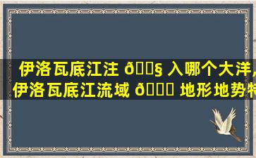伊洛瓦底江注 🐧 入哪个大洋,伊洛瓦底江流域 🐈 地形地势特征